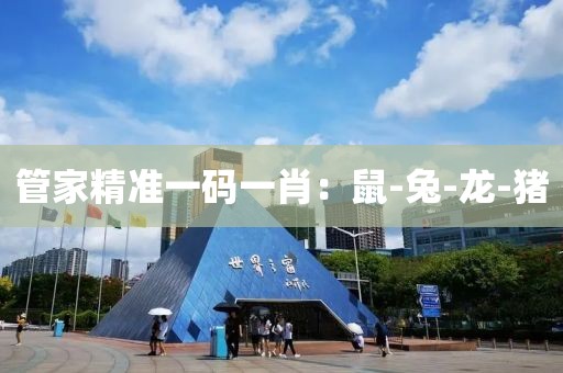 管家精准一码一肖：鼠-兔-龙-猪