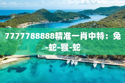 7777788888精准一肖中特：兔-蛇-猴-蛇