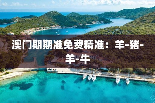 澳门期期准免费精准：羊-猪-羊-牛