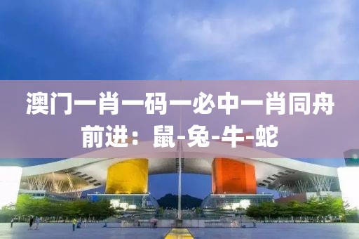 澳门一肖一码一必中一肖同舟前进：鼠-兔-牛-蛇
