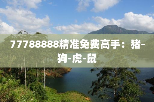 77788888精准免费高手：猪-狗-虎-鼠