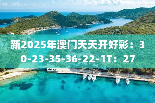 新2025年澳门天天开好彩：30-23-35-36-22-1T：27