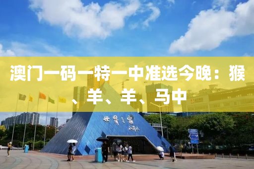 澳门一码一特一中准选今晚：猴、羊、羊、马中