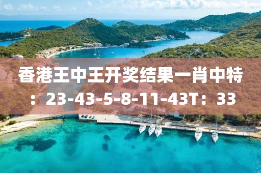 香港王中王开奖结果一肖中特：23-43-5-8-11-43T：33