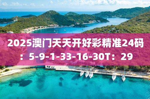 2025澳门天天开好彩精准24码：5-9-1-33-16-30T：29
