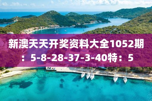 新澳天天开奖资料大全1052期：5-8-28-37-3-40特：5