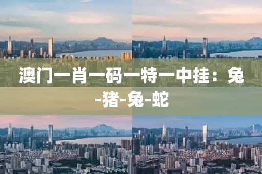 澳门一肖一码一特一中挂：兔-猪-兔-蛇