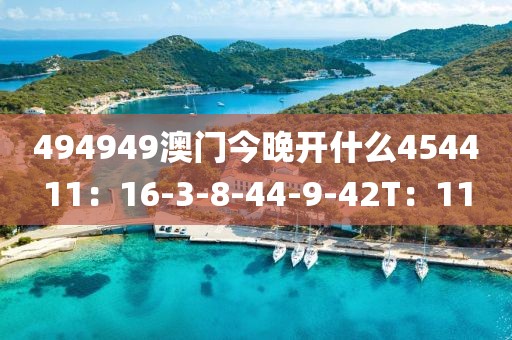 494949澳门今晚开什么454411：16-3-8-44-9-42T：11