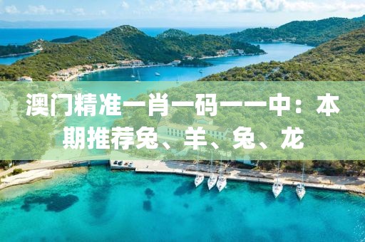 澳门精准一肖一码一一中：本期推荐兔、羊、兔、龙