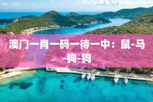 澳门一肖一码一待一中：鼠-马-狗-狗