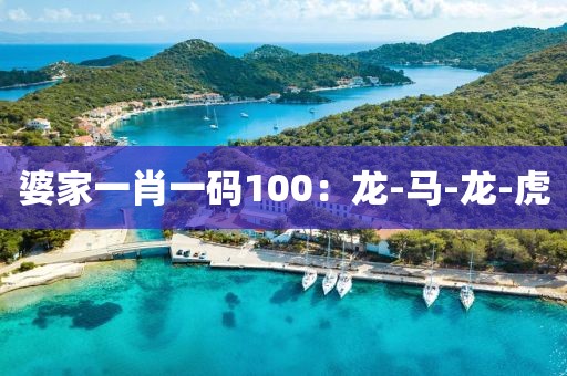 婆家一肖一码100：龙-马-龙-虎