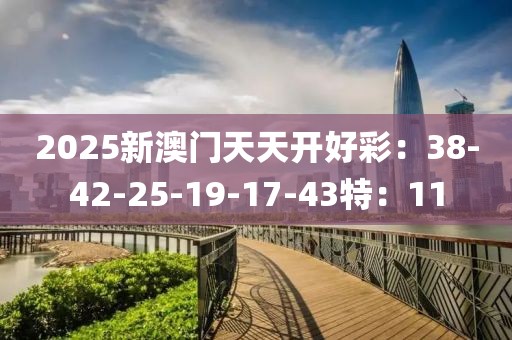 2025新澳门天天开好彩：38-42-25-19-17-43特：11