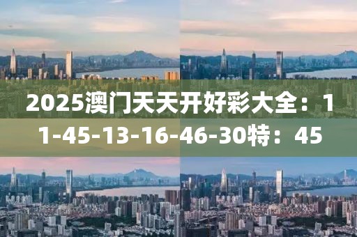 2025澳门天天开好彩大全：11-45-13-16-46-30特：45