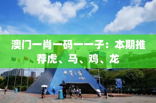 澳门一肖一码一一子：本期推荐虎、马、鸡、龙