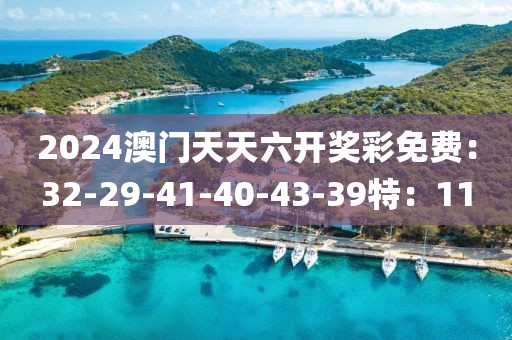 2024澳门天天六开奖彩免费：32-29-41-40-43-39特：11