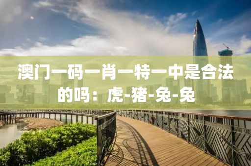 澳门一码一肖一特一中是合法的吗：虎-猪-兔-兔