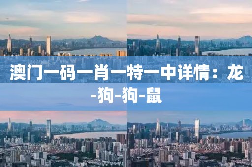澳门一码一肖一特一中详情：龙-狗-狗-鼠