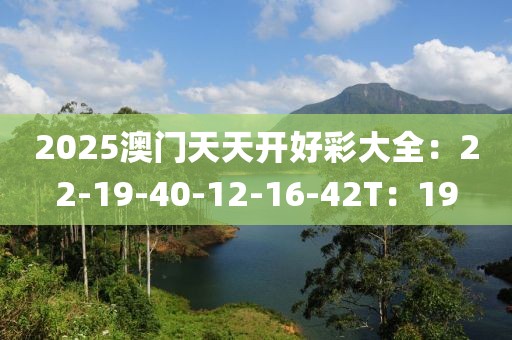2025澳门天天开好彩大全：22-19-40-12-16-42T：19