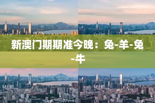 新澳门期期准今晚：兔-羊-兔-牛