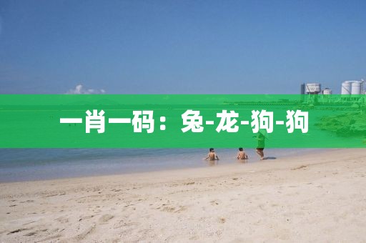 一肖一码：兔-龙-狗-狗