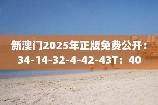 新澳门2025年正版免费公开：34-14-32-4-42-43T：40