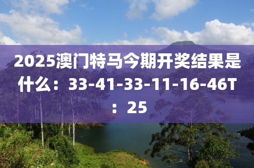 2025澳门特马今期开奖结果是什么：33-41-33-11-16-46T：25