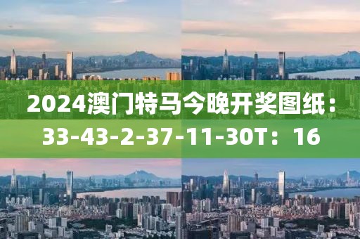 2024澳门特马今晚开奖图纸：33-43-2-37-11-30T：16